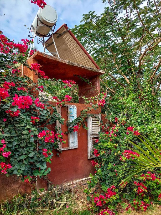 Dorp Sint Michiel Mondi Lodge מראה חיצוני תמונה