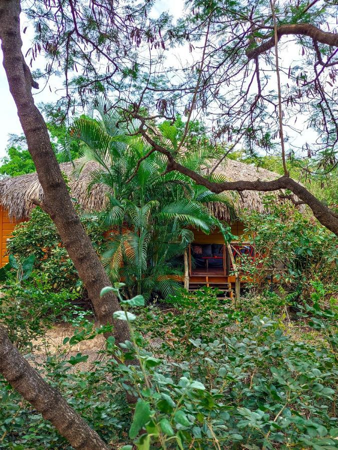 Dorp Sint Michiel Mondi Lodge מראה חיצוני תמונה