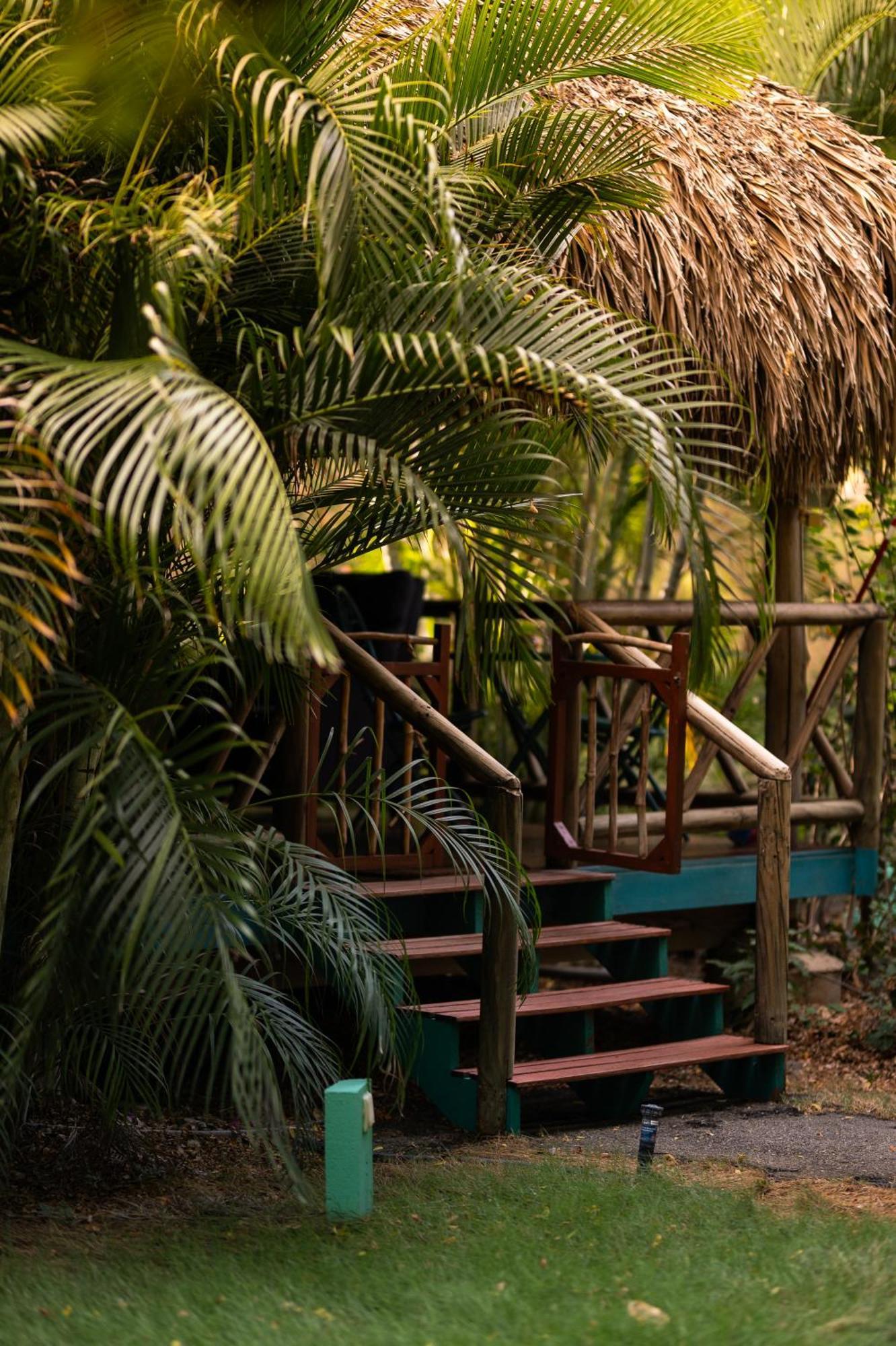 Dorp Sint Michiel Mondi Lodge מראה חיצוני תמונה